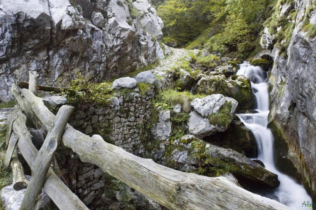 Los Molinos - Atico En Montana De Asturias Фелечоса Екстериор снимка