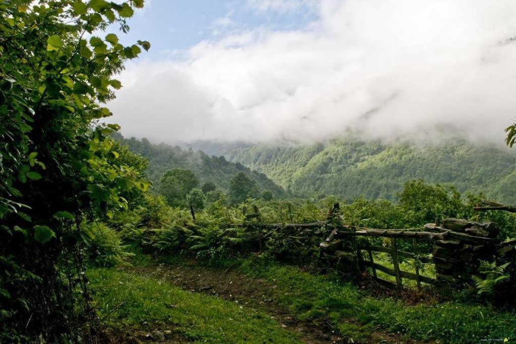 Los Molinos - Atico En Montana De Asturias Фелечоса Екстериор снимка