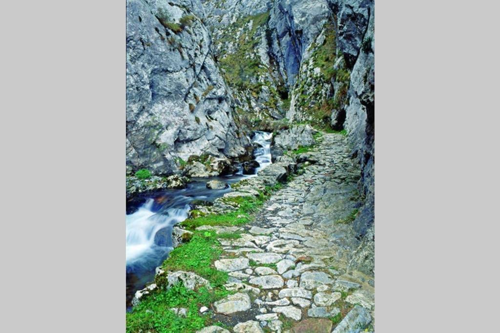 Los Molinos - Atico En Montana De Asturias Фелечоса Екстериор снимка