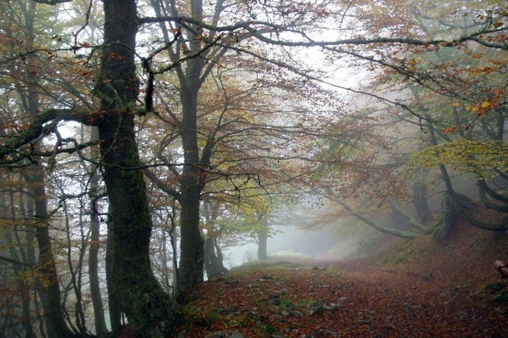 Los Molinos - Atico En Montana De Asturias Фелечоса Екстериор снимка